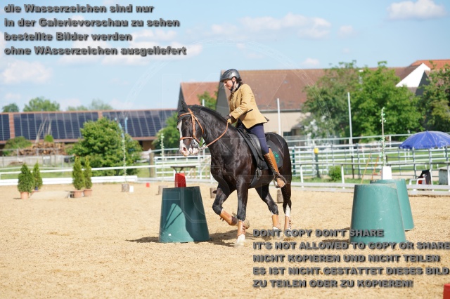 s_K3F07135.JPG